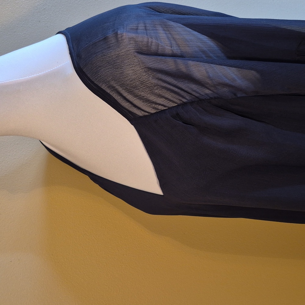 MASSIMO DUTTI Loose Fit Navy V-Neck Sheer Chiffon Sleeve Lined Dress, Size Large - Picture 11 of 15